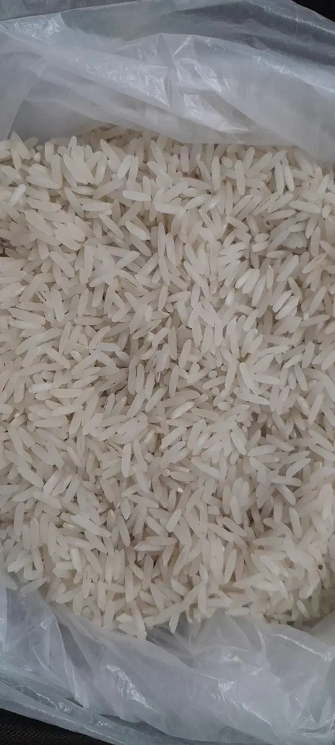 برنج ندا اعلادرجه یک|خوردنی و آشامیدنی|علیآباد کتول, |دیوار