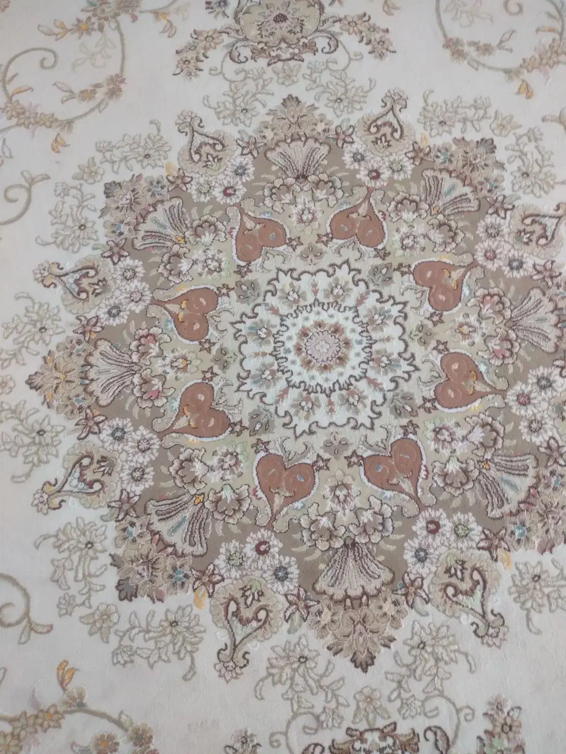 دو تخته فرش ۱۲ متری کاشان گل برجسته|فرش|محمدشهر, محمدشهر|دیوار