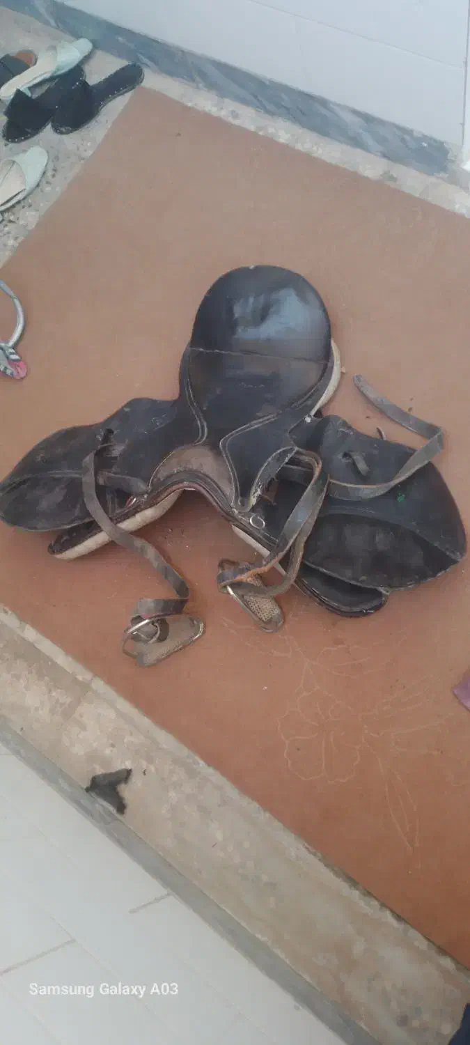 زین ودهنه|اسب و تجهیزات اسبسواری|شوشتر, |دیوار