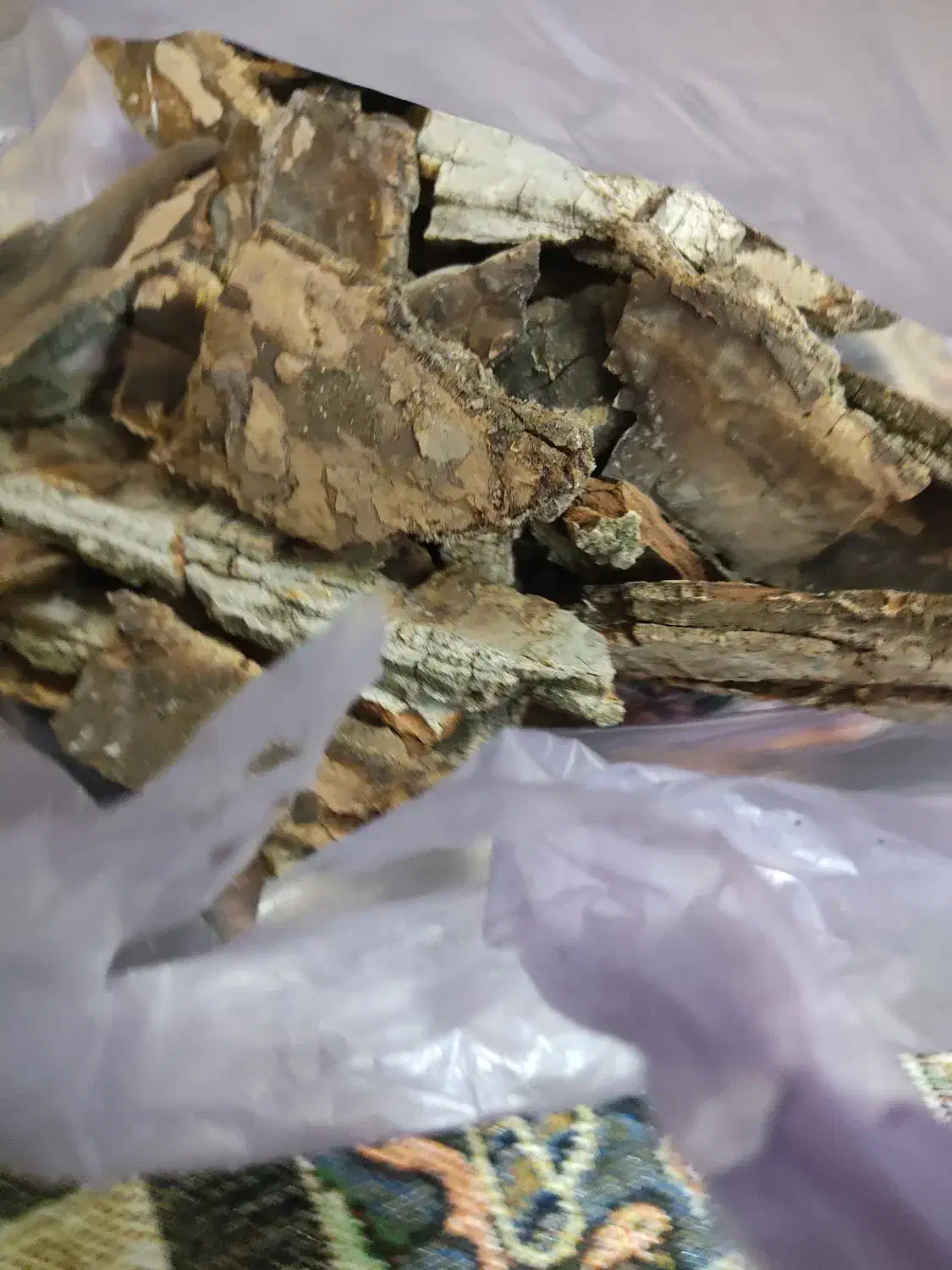 چوب درخت گردو|کلکسیون و سرگرمی|هرسین, |دیوار