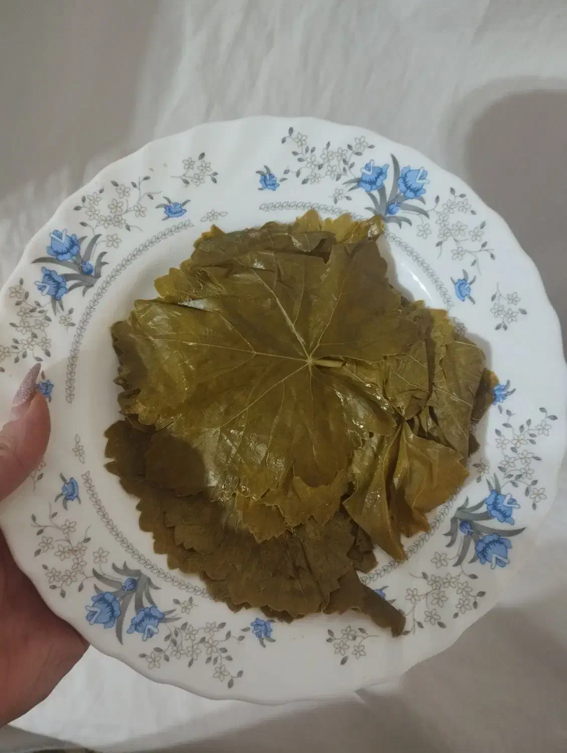 برگ مو دلمه تازه|خوردنی و آشامیدنی|مراغه, |دیوار