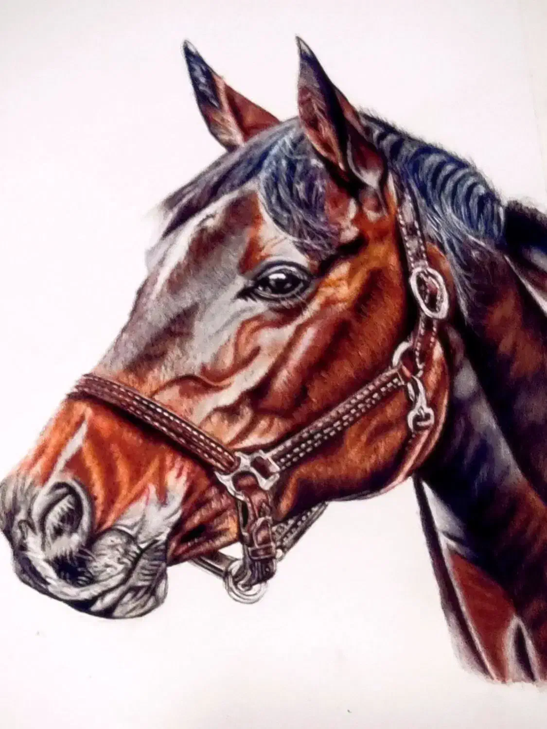 آموزش نقاشی مداد رنگی|خدمات آموزشی|قزوین, |دیوار