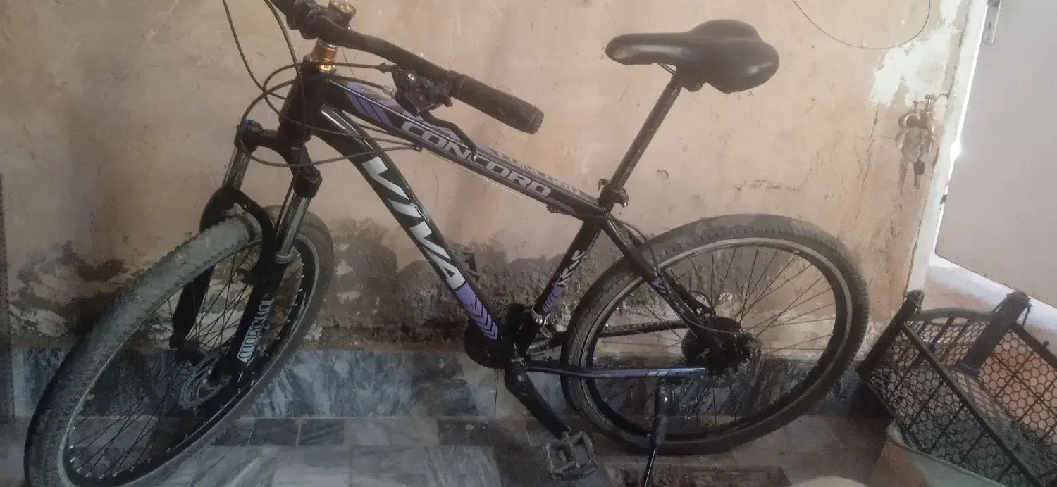 دوچرخه ویوا|دوچرخه، اسکیت، اسکوتر|زالیان, |دیوار