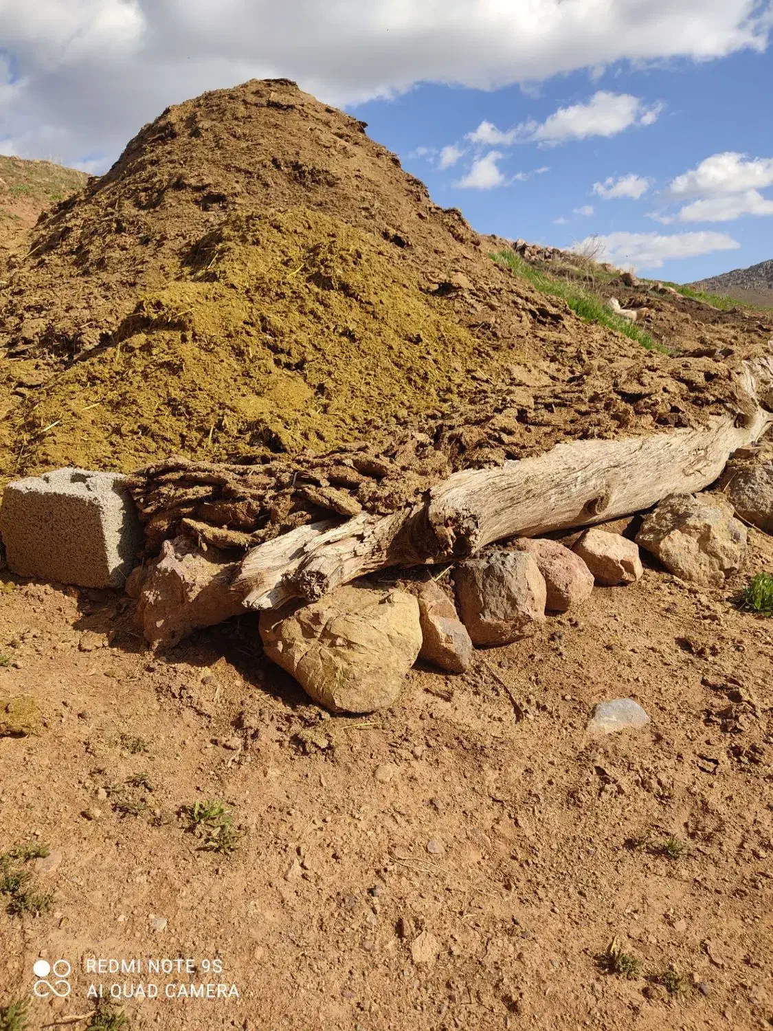 کود گاوی کود حیوانی|خدمات باغبانی و درختکاری|سنندج, |دیوار