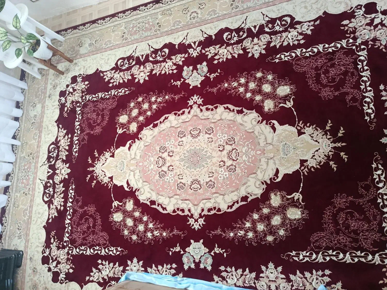 فرش ۱۲ متری|فرش|لاهیجان, شهید آوینی|دیوار