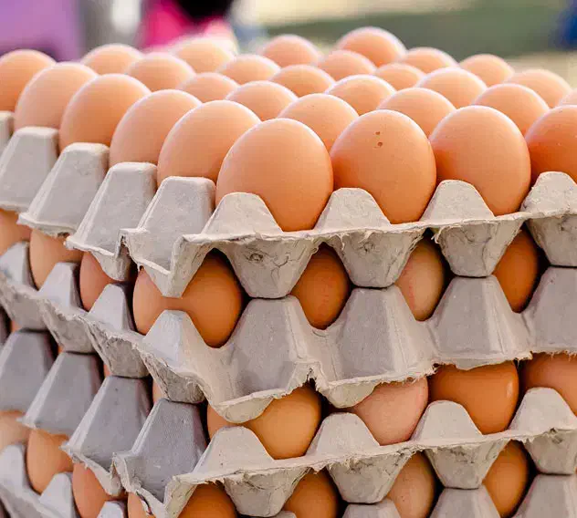 پخش تخم مرغ محلی،تخم مرغ روز|خوردنی و آشامیدنی|تهران, حصارک|دیوار