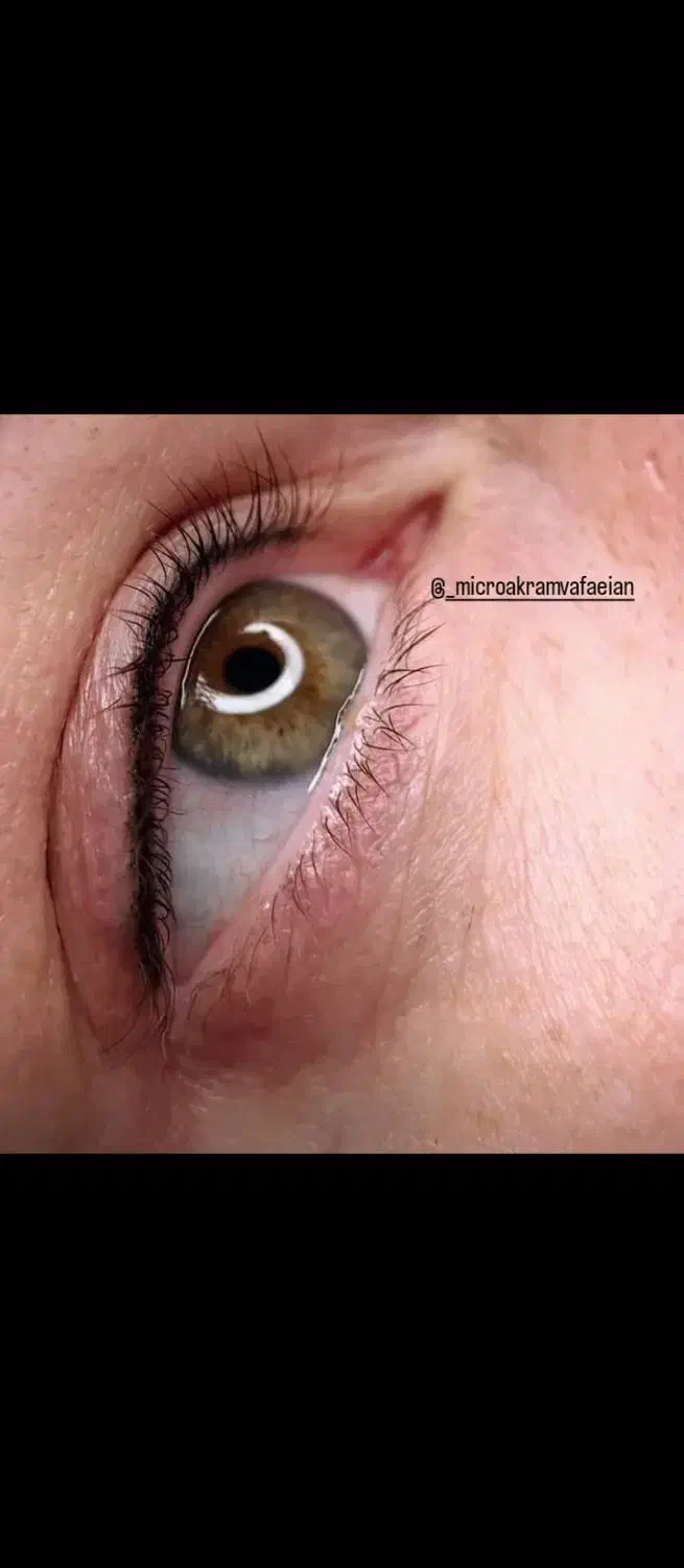 خدمات میکروبلیدینگ ومیکروپیگمنتیشن|خدمات آرایشگری و زیبایی|صدرا-فارس, فاز ۱|دیوار