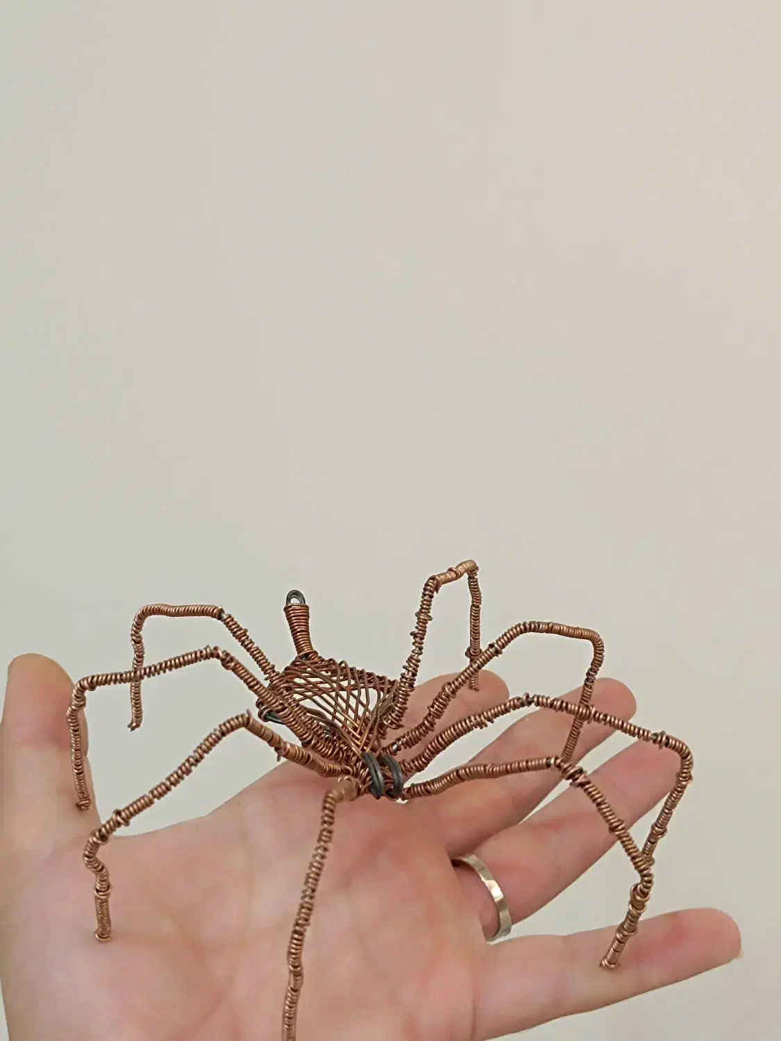 مجسمه سیمی عنکبوت|مجسمه، تندیس، ماکت|محمدشهر, ولدآباد|دیوار