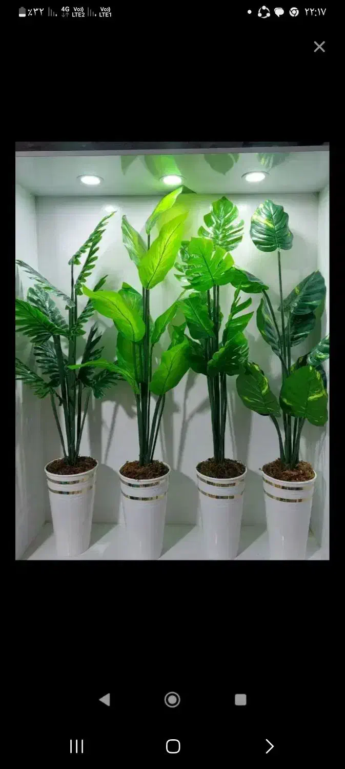 گل مصنوعی|گل مصنوعی|دورود, |دیوار