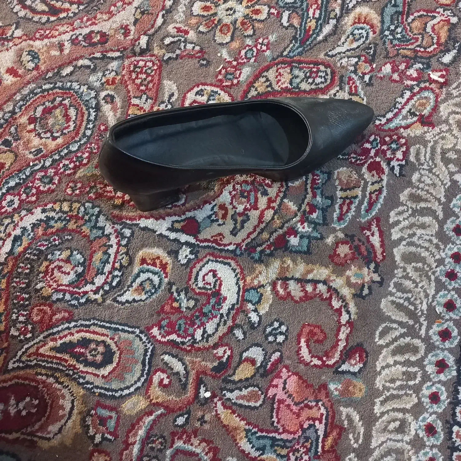 کفش زنانه|کیف، کفش، کمربند|مشهد, طبرسی شمالی|دیوار