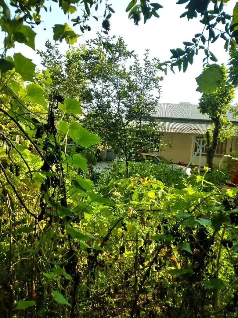 فروش ویلا مسکونی دارای سند تک برگ|فروش خانه و ویلا|رشت, حومه رشت|دیوار