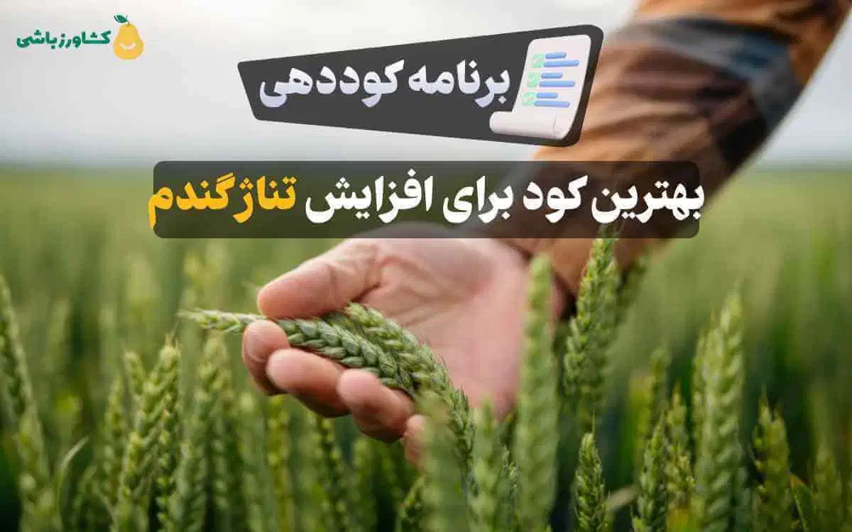 برنامه افزایش تناژ گندم و جو|خدمات باغبانی و درختکاری|دلیجان, |دیوار