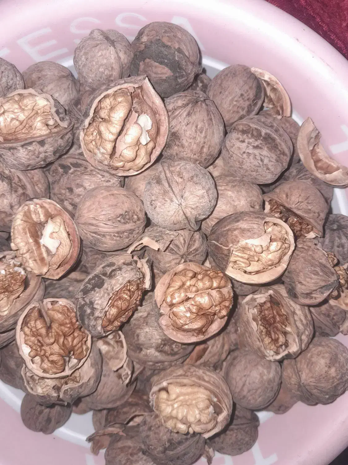 گردوی خوشممزه باکیفیت بقیع|خوردنی و آشامیدنی|نیشابور, سرآب کوشک|دیوار