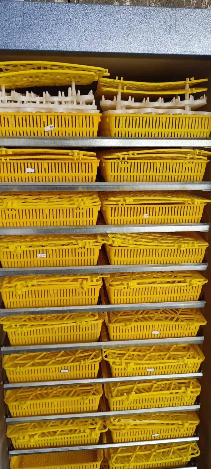 دستگاه 1850 عددی دماوند|لوازم جانبی حیوانات|بابل, |دیوار