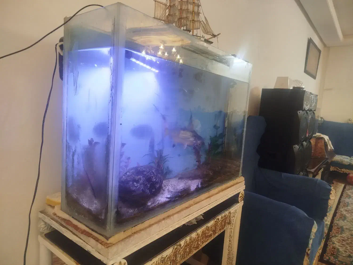 ماهی|ماهی|نیشابور, شهرک رضوی|دیوار