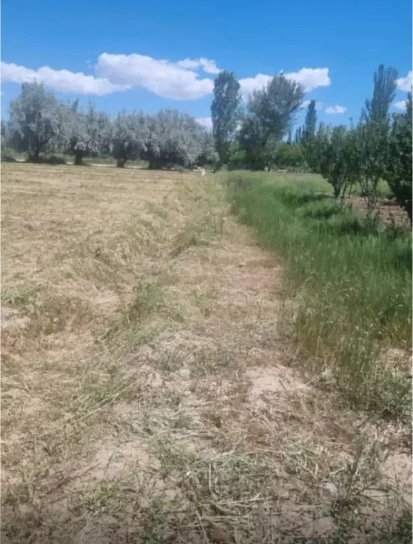 زمین|فروش زمین و ملک کلنگی|کشکسرای, |دیوار