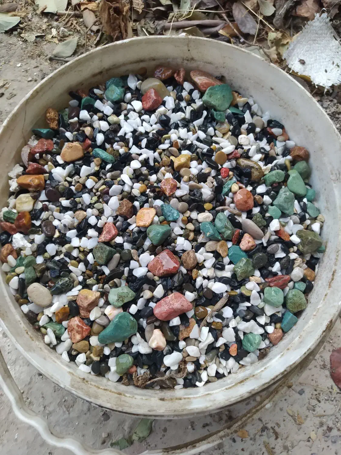 سنگ کف آکواریوم|ماهی|ساری, |دیوار