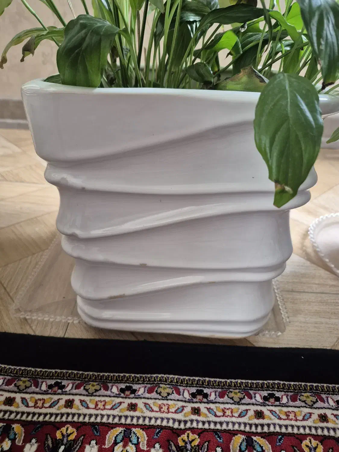 گل دان چینی|گل و گیاه طبیعی|محمدشهر, همایون ویلا|دیوار