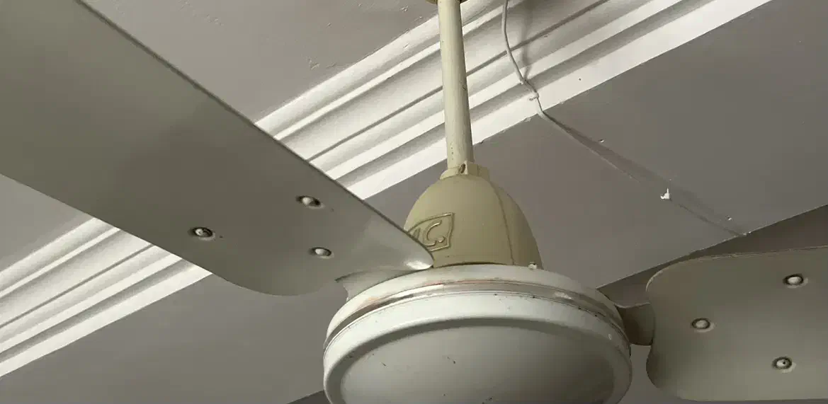 ۲ عدد پنکه سقفی s.m.c اصل|پنکه و تصفیه‌کنندهٔ هوا|میناب, |دیوار