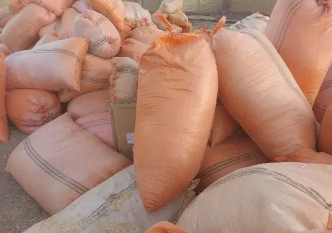 فروش کاه گندم گونی شده|خدمات باغبانی و درختکاری|داراب, |دیوار