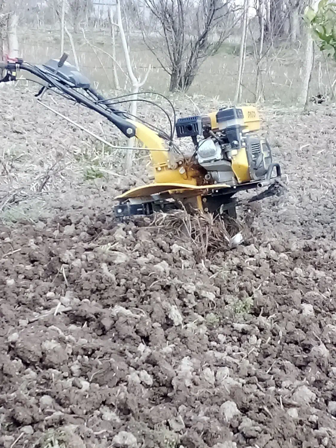 شخم زدن باغ|خدمات باغبانی و درختکاری|رودبنه, |دیوار