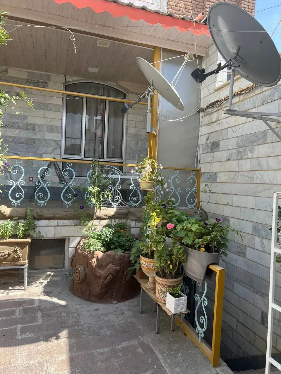 فروش حیاط باصفا|فروش خانه و ویلا|اسکو, |دیوار