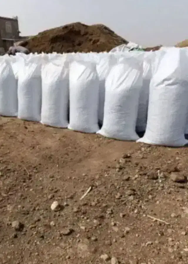 کبوتر|پرنده|تهران, تهرانسر مرکزی|دیوار