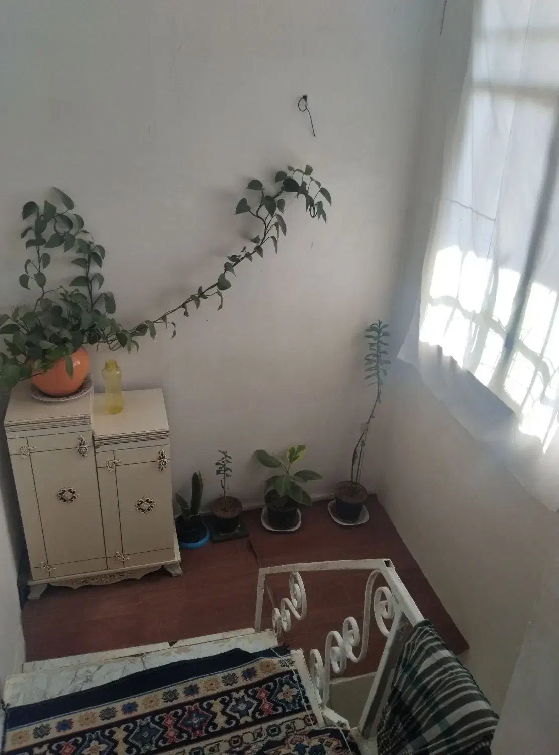 فروش خانه ویلایی ۵۰ متری ۱ خوابه در شهرک انقلاب|فروش خانه و ویلا|پاکدشت, شهرک انقلاب|دیوار