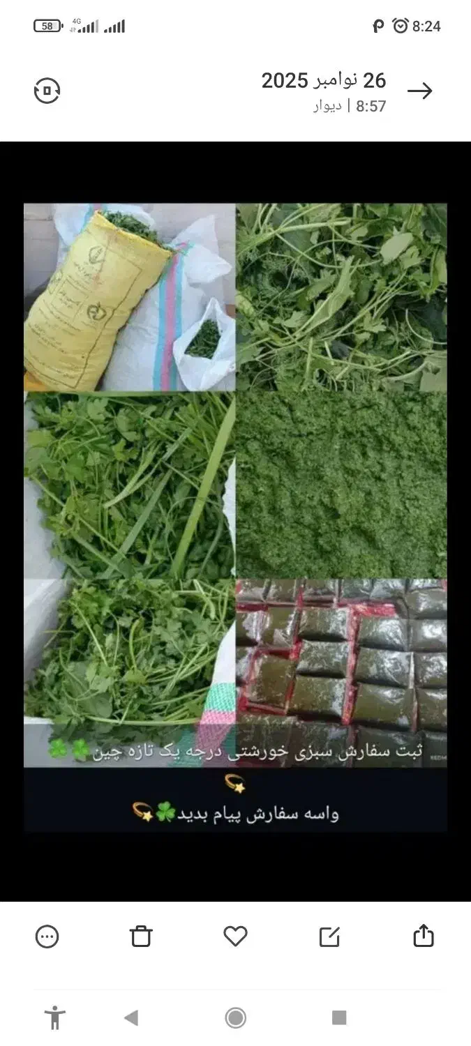 سبزی رامهرمز خوش عطر وخوشمزه عمده وخورده|خوردنی و آشامیدنی|سیراف, |دیوار