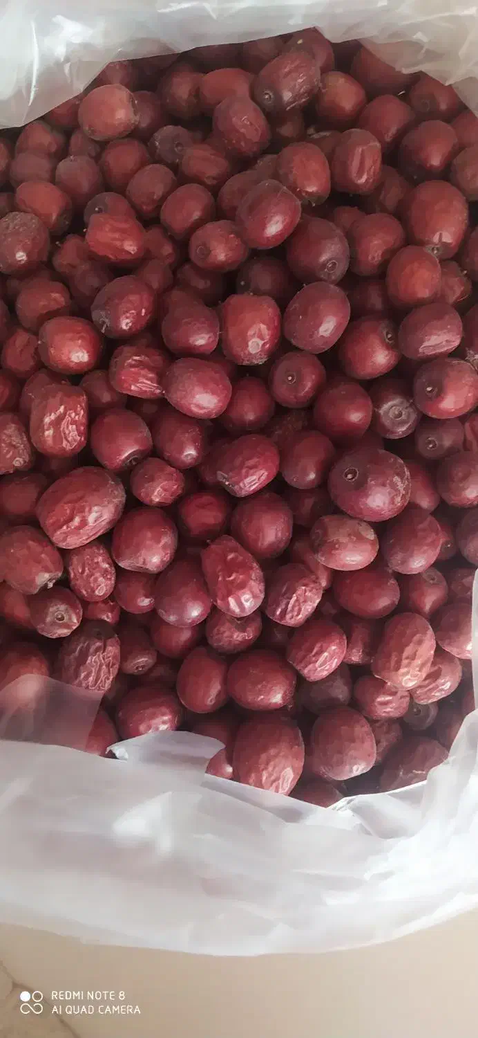 عناب|خوردنی و آشامیدنی|مشهد, دانشجو|دیوار