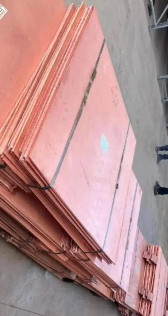 راهنمایی درمورد سرمایه|فعالیت داوطلبانه تحقیقاتی|داران, |دیوار