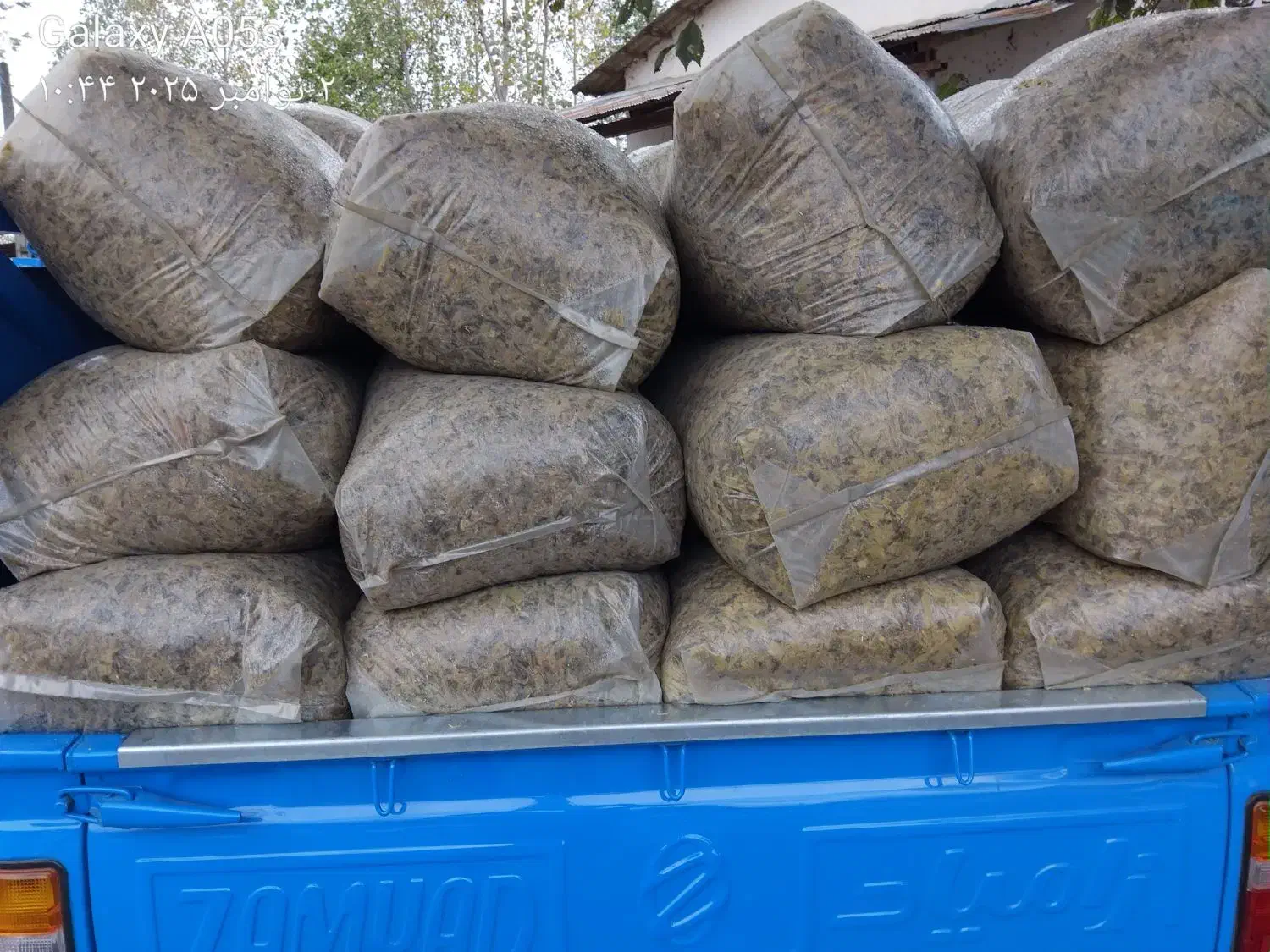 ذرت علوفه ای|لوازم جانبی حیوانات|فومن, |دیوار