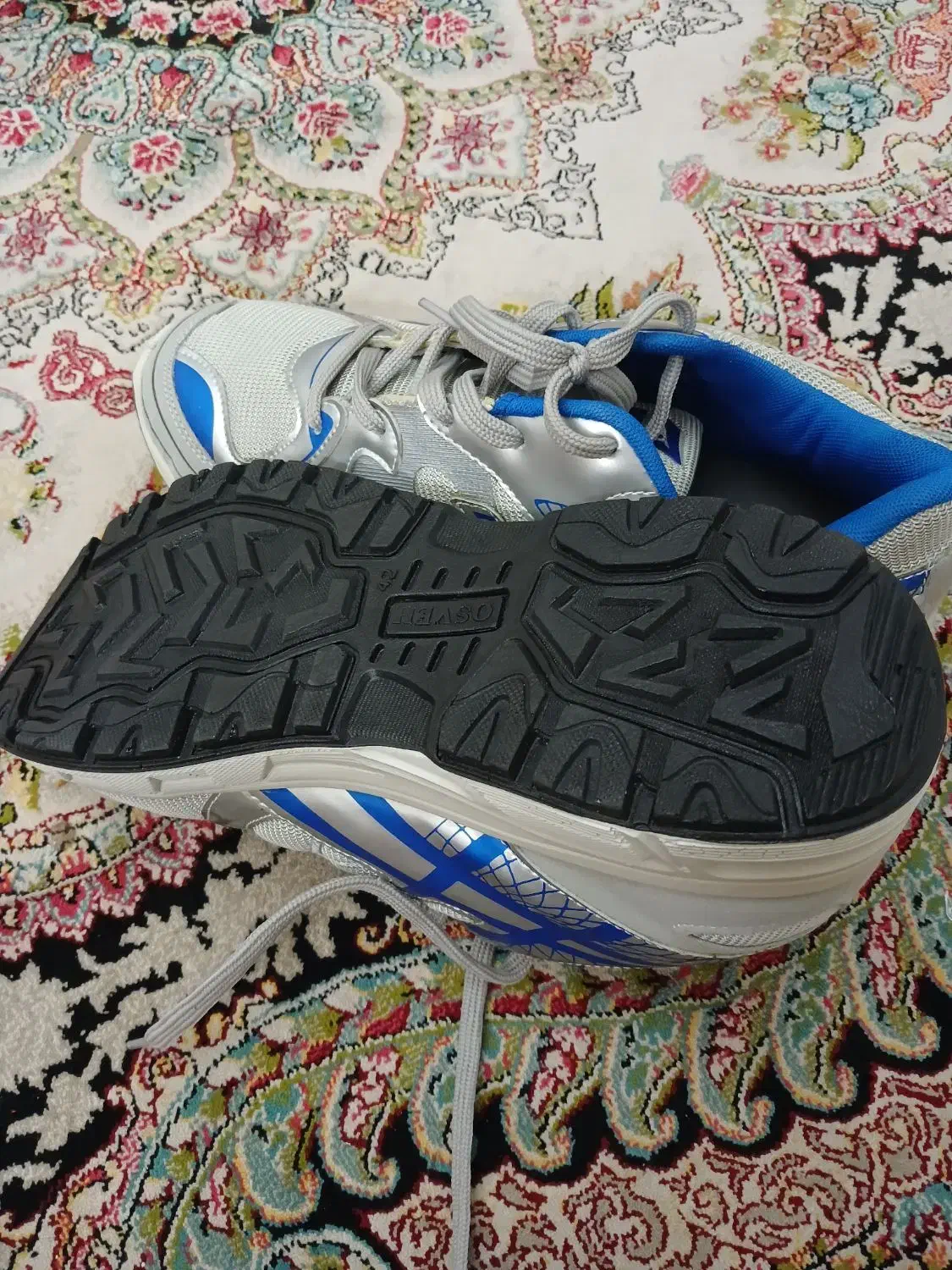 کفش|کیف، کفش، کمربند|همدان, |دیوار