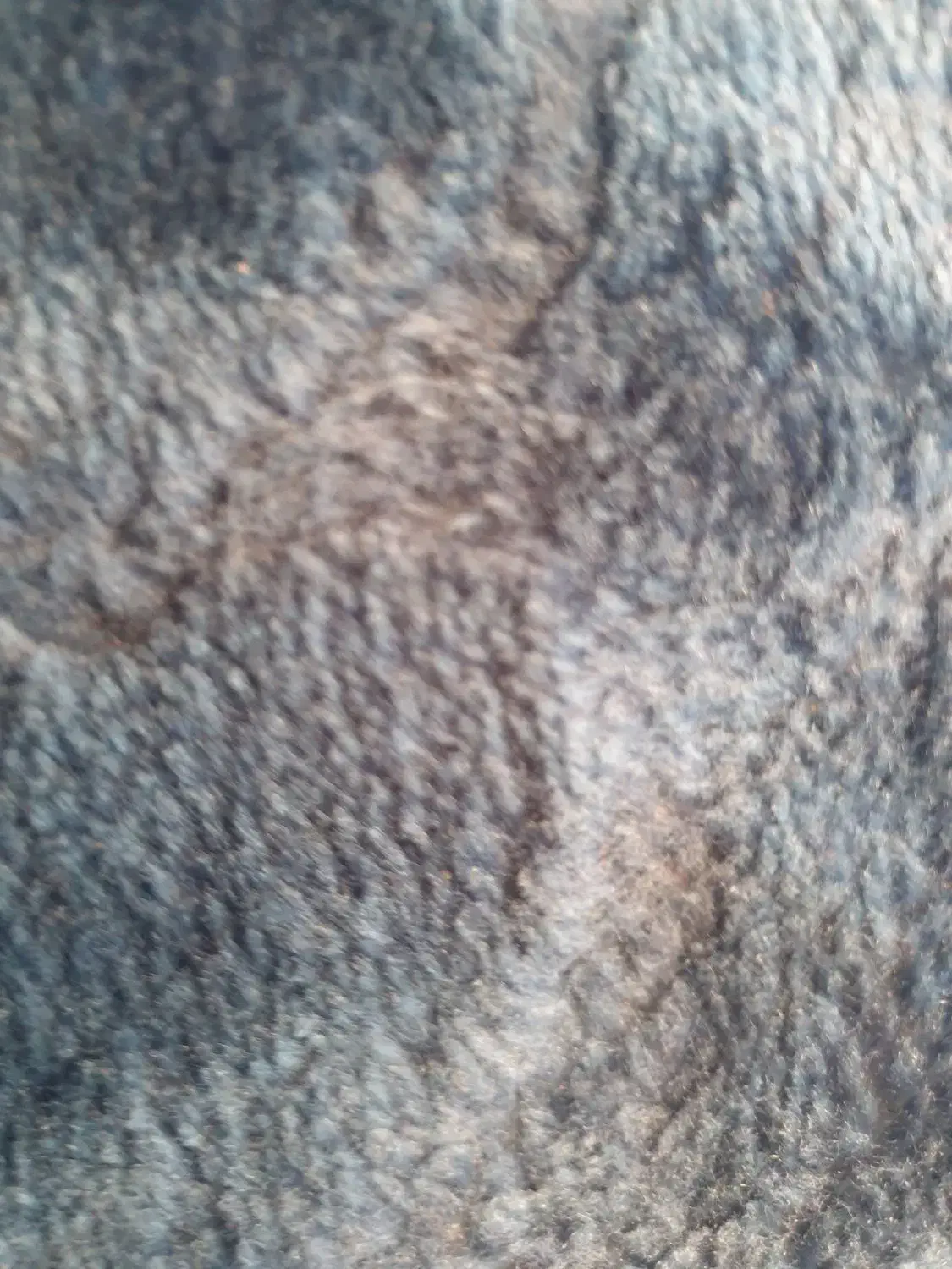 نظافت راه پله وپارکینگ و.|خدمات نظافت|بوشهر, |دیوار