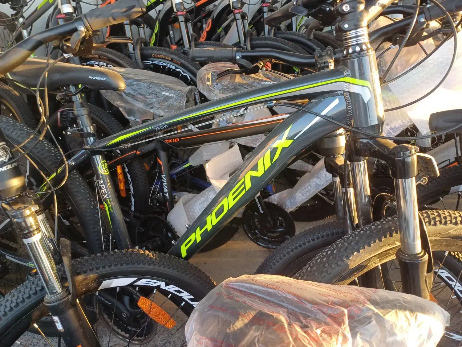 دوچرخه فونیکس|دوچرخه، اسکیت، اسکوتر|چادگان, |دیوار