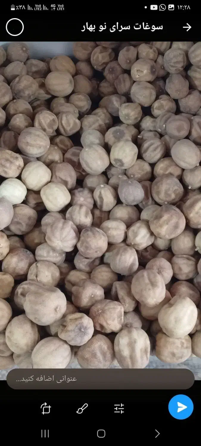 فروش انواع محصولات نوبهار|خوردنی و آشامیدنی|رباط‌کریم, رباط‌کریم|دیوار