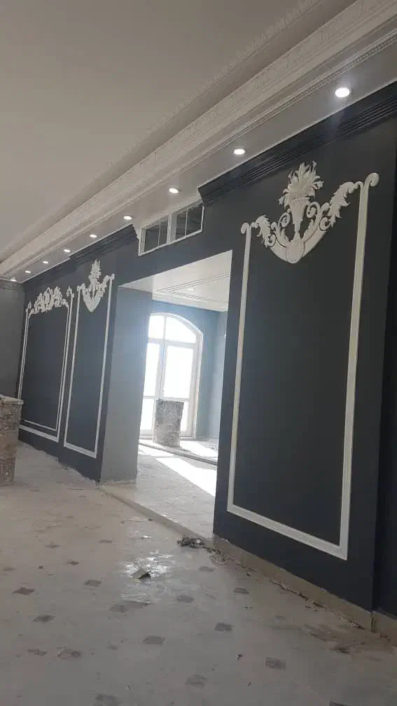 نقاشی ساختمان و رنگ کناف|خدمات پیشه و مهارت|شیراز, فرهنگ شهر|دیوار