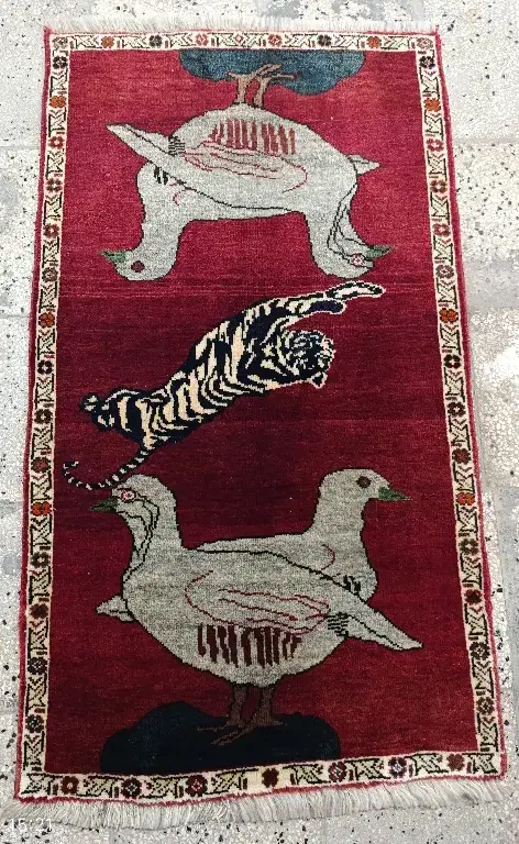 شیراز قشقایی کبک|پادری|باقرشهر, |دیوار