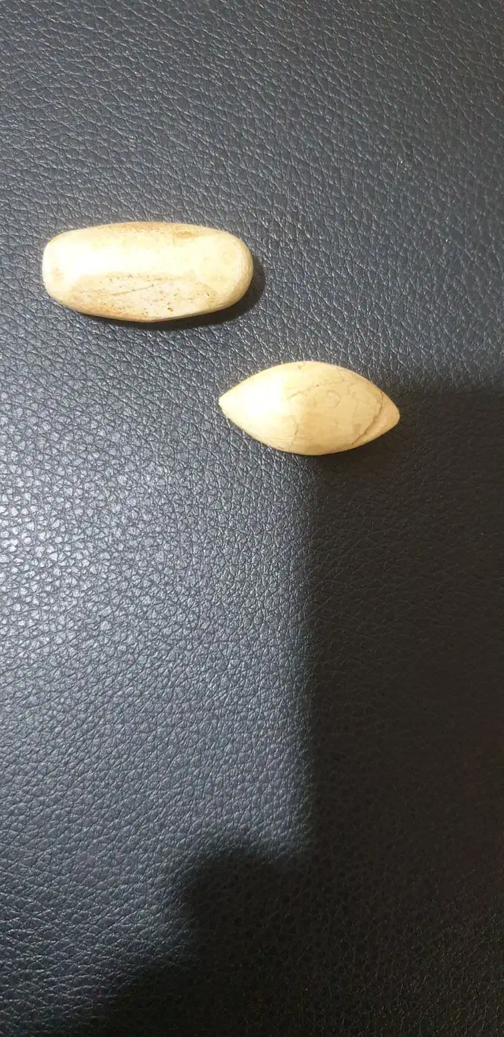 سنگ|بدلیجات|فین, |دیوار