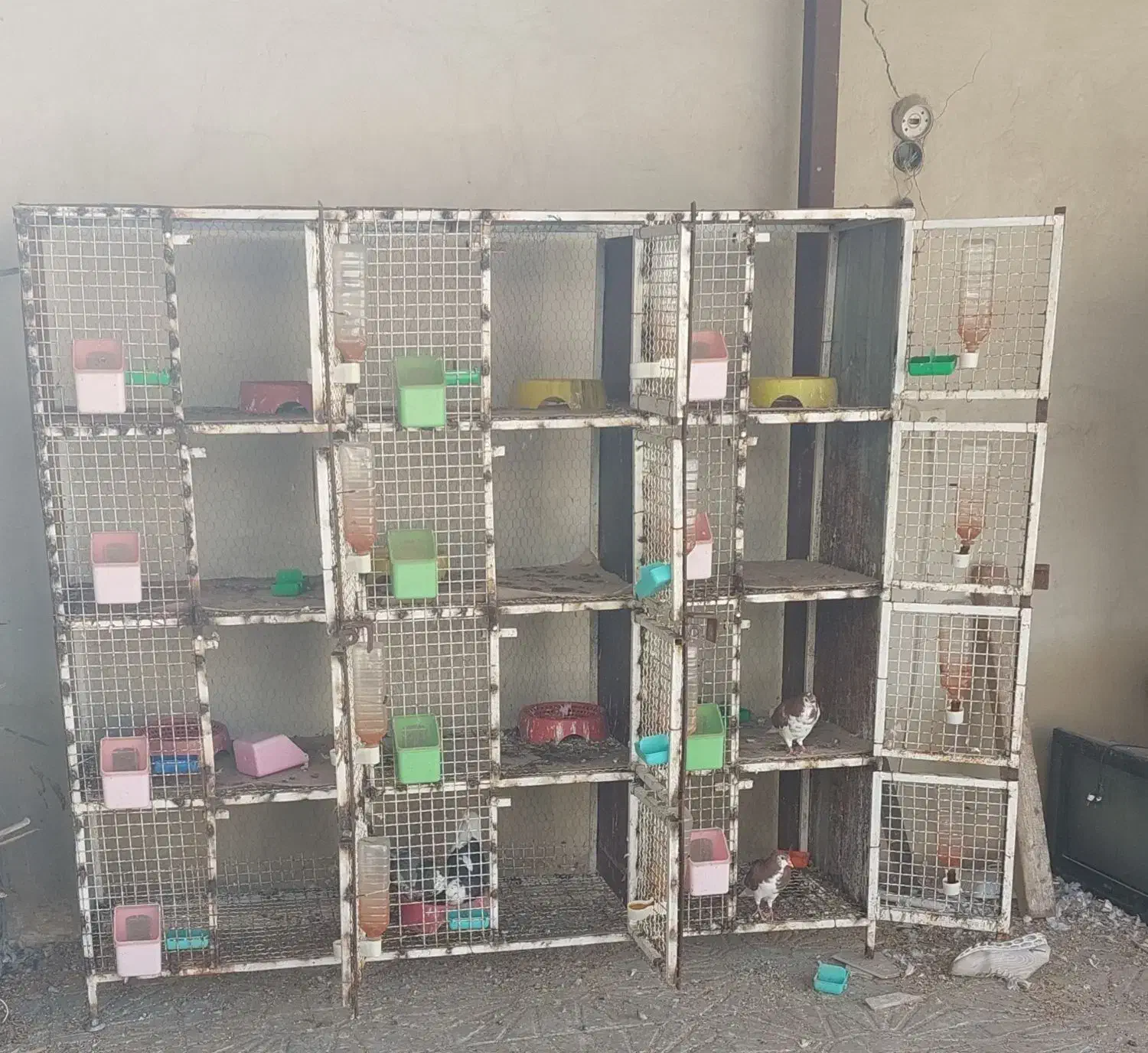 قفس بزرگ|لوازم جانبی حیوانات|کازرون, |دیوار