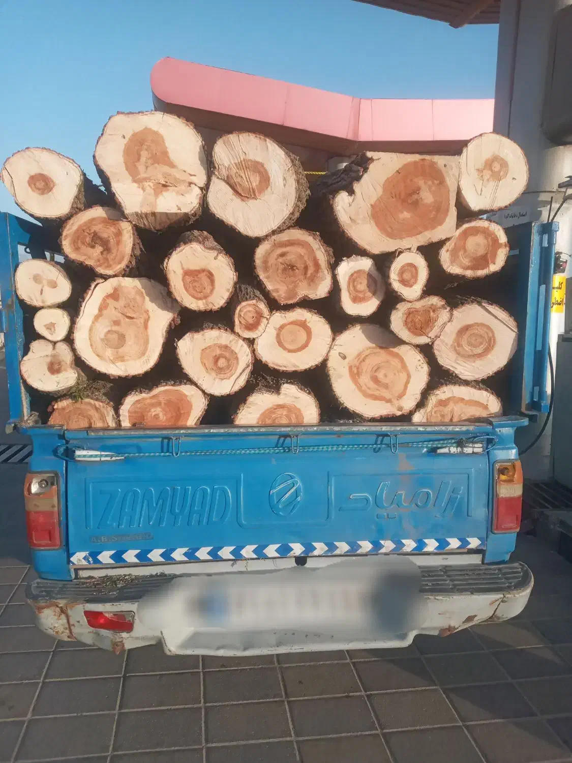 چوب ودرخت|خدمات باغبانی و درختکاری|اردبیل, |دیوار