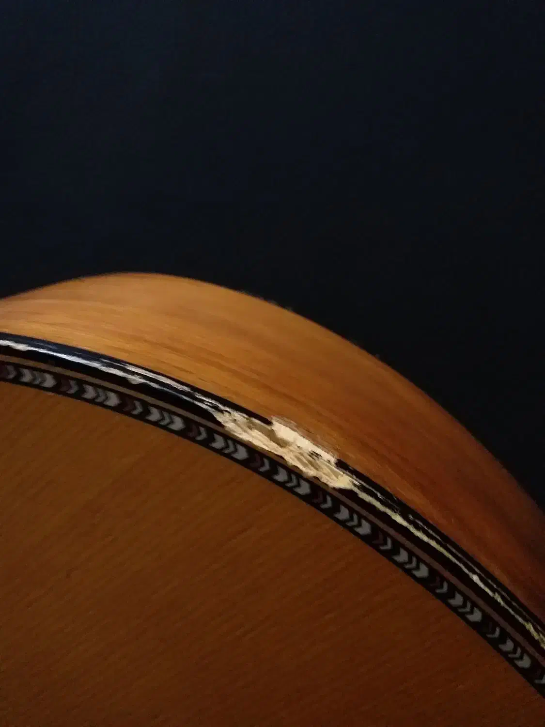 گیتار Dalahu با کاور|گیتار، بیس، امپلیفایر|بجنورد, |دیوار