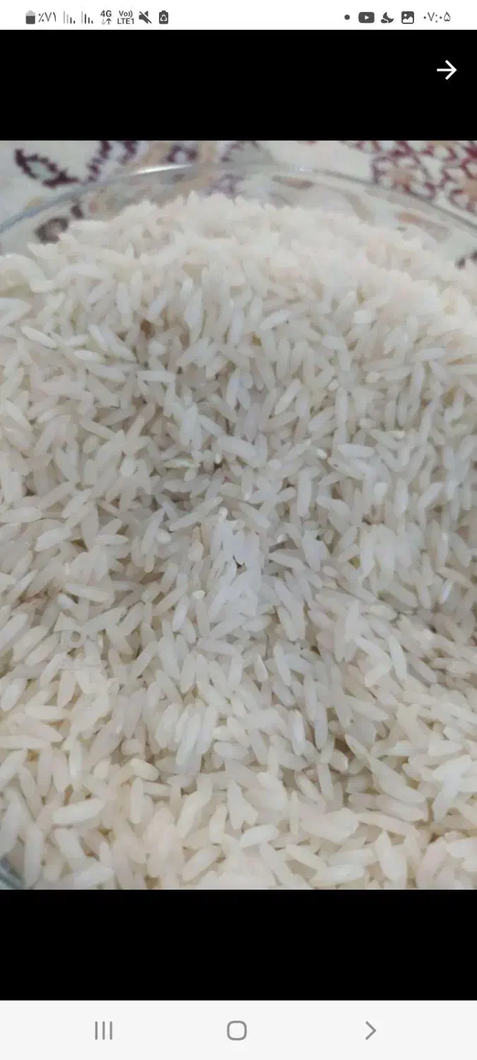 فروش فوری برنج طارم بهنام عطری کشت دوم|خوردنی و آشامیدنی|گلوگاه بابل (گلیا), |دیوار