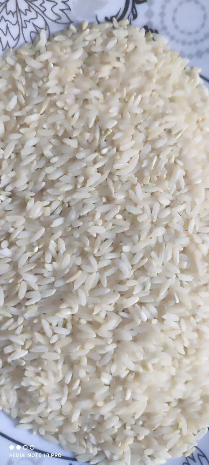 برنج چمپا ساران شرف اباد میتونید برنجو ببینیدبشرط|خوردنی و آشامیدنی|یاسوج, |دیوار