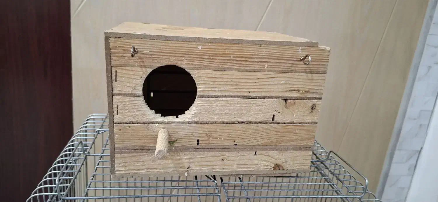 لانه عروس هلندی و لانه طوطی برزیلی (کارکرده)|لوازم جانبی حیوانات|تهران, امیریه|دیوار