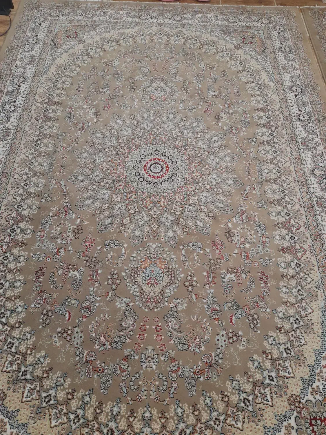 یک جفت فرش ۶ متری|فرش|سیاهکل, |دیوار