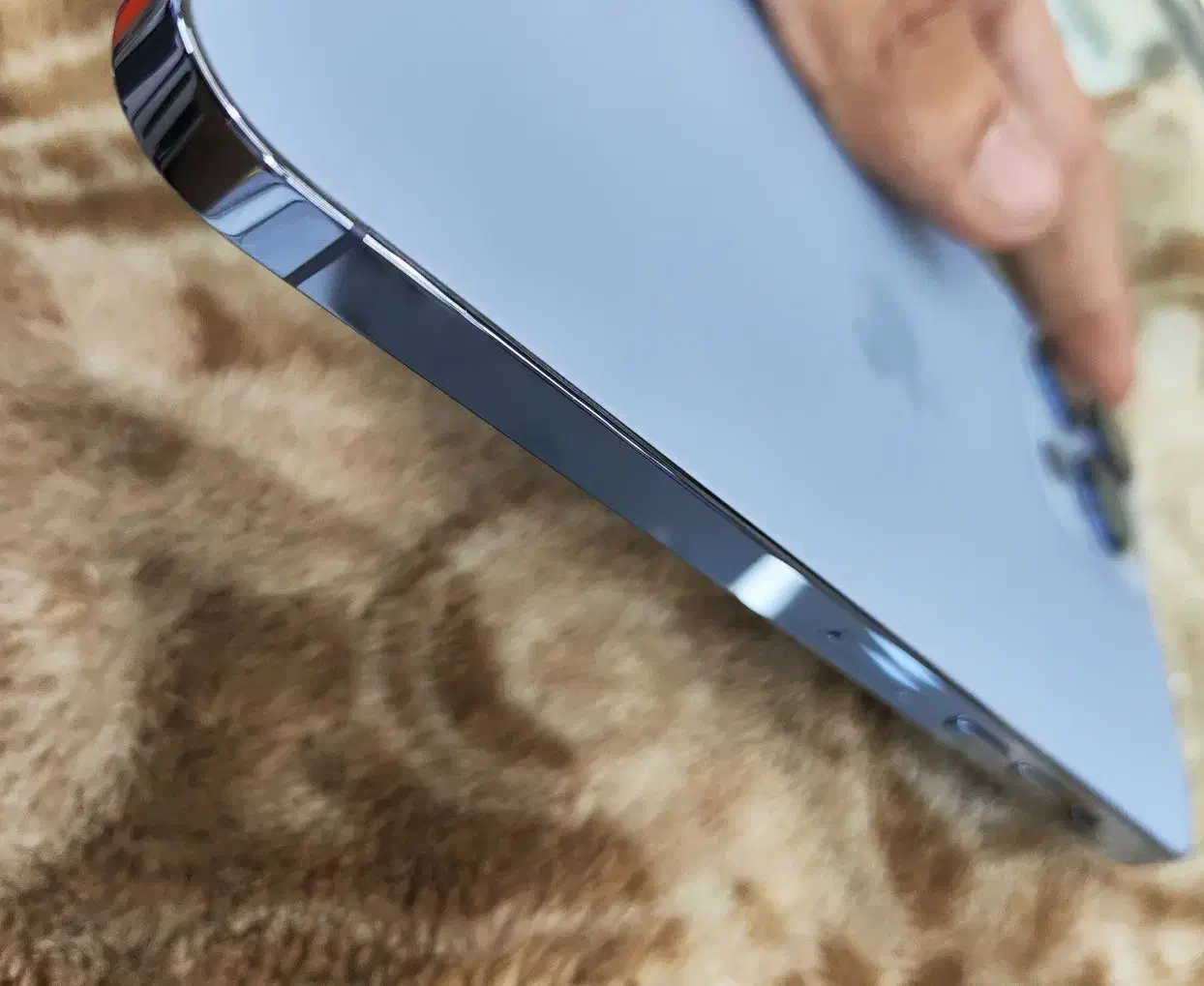 Iphone 13 pro max|موبایل|اسلامشهر, زرافشان|دیوار