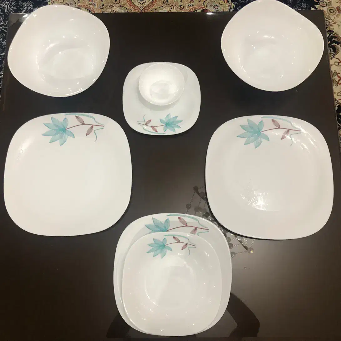 سرویس غذاخوری آرکوپال اسپانیا|ظروف سرو و پذیرایی|شیراز, آبیاری|دیوار