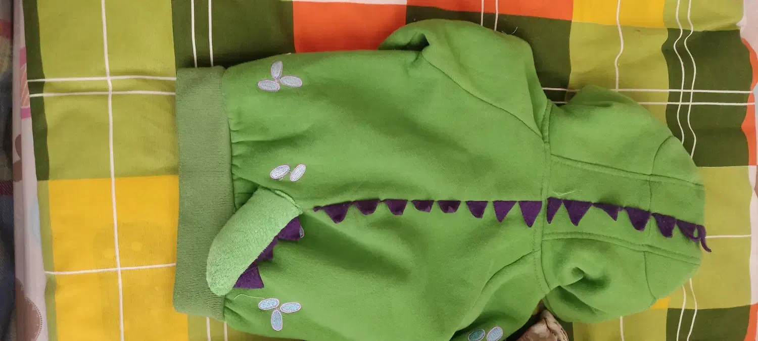 سویشرت دایناسوری در حد نو|کفش و لباس بچه|تهران, بهداشت|دیوار