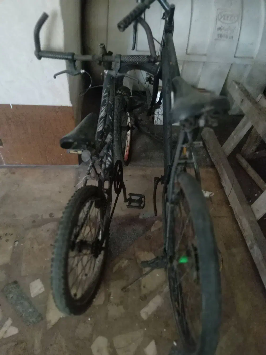 دوعدد دوچرخه بفروش میرسد|دوچرخه، اسکیت، اسکوتر|رشت, دیلمان|دیوار